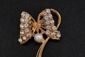 Stony Ribbon and Brooch